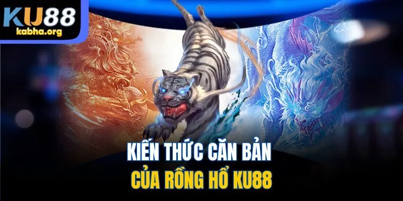 Kiến thức căn bản của Rồng Hổ KU88