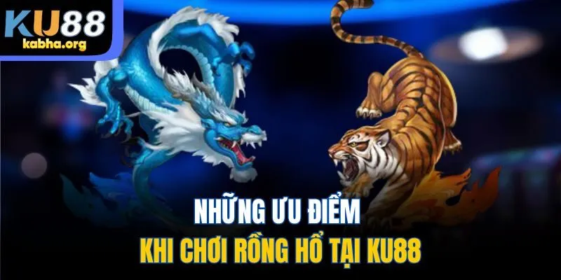 Những ưu điểm khi chơi Rồng Hổ tại KU88