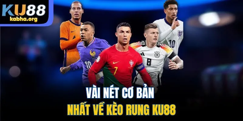 Vài nét cơ bản nhất về kèo rung KU88